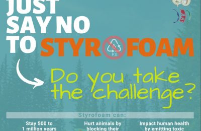 Styrofoam Challenge Poster